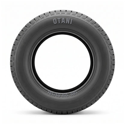 Otani WE1000 185/60 R15 88T Winter