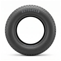 Autogreen Ice Cruiser AW01 205/60 R16 92T Winter