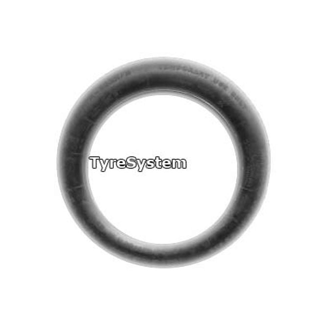 Michelin TEX LR Notrad 195/65 R22 116M Sommer