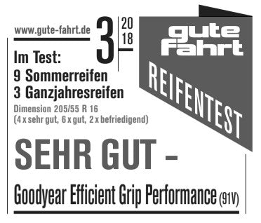 Goodyear Efficientgrip Performance AO 205/55 R16 91V Sommer – Bild 4