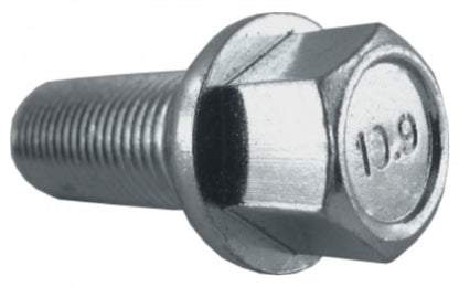 Jania Radschraube Kugelbund R12 M14x1,5x35 SW17 silber 20 Stk. – Bild 2