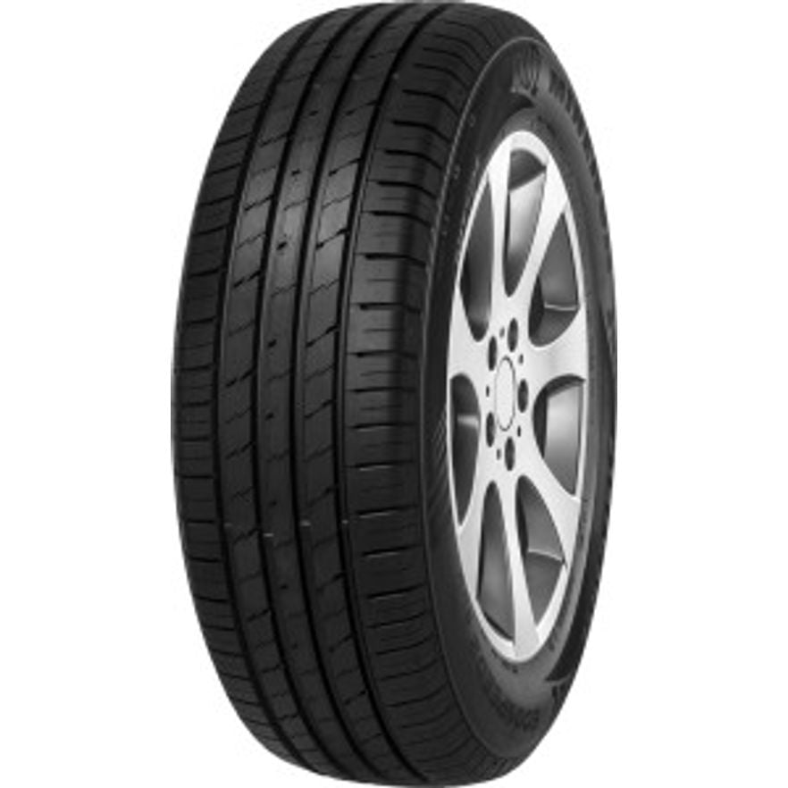 Minerva Ecospeed 2 SUV XL 255/55 R20 110W Sommer