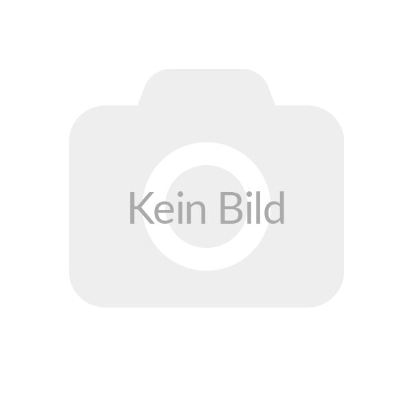 Collins Winter Extrema Evo (heißrunderneuert) 3PMSF 205/75 R16 110/108R Winter