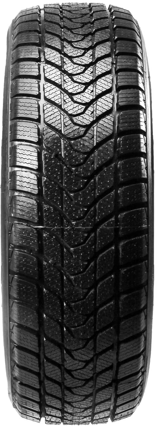 Delinte WD 1 3PMSF XL 205/60 R16 96H Winter
