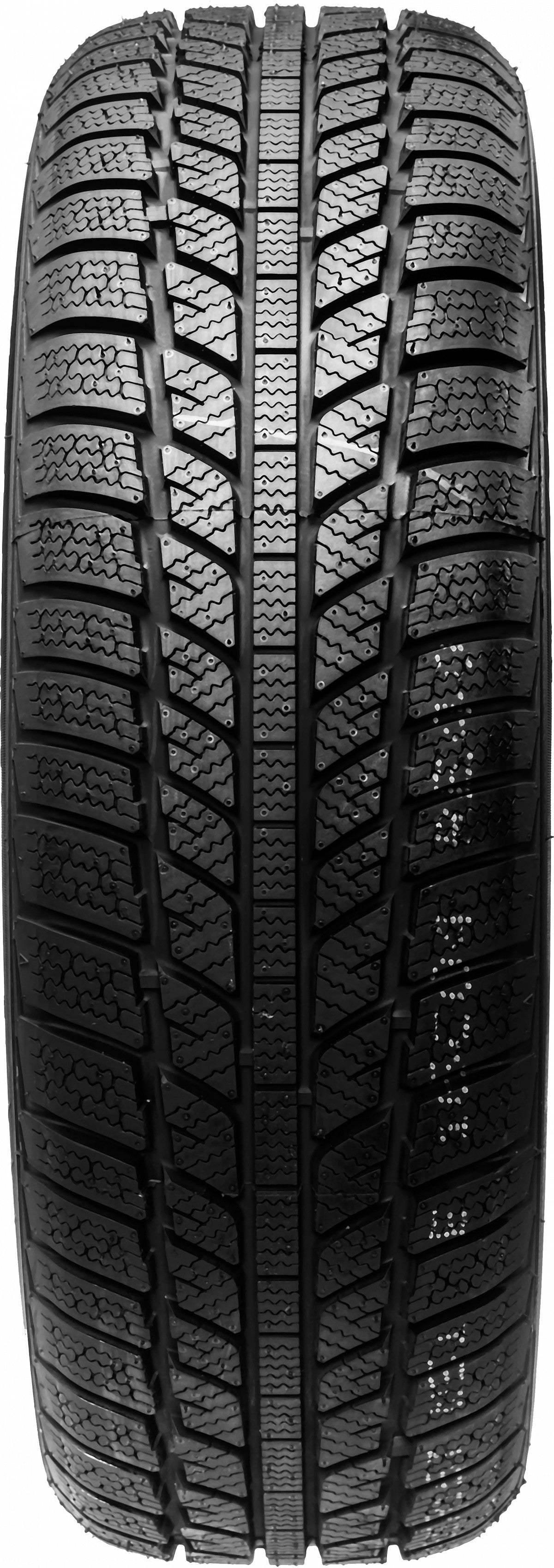 Evergreen EW62 195/55 R16 87H Winter