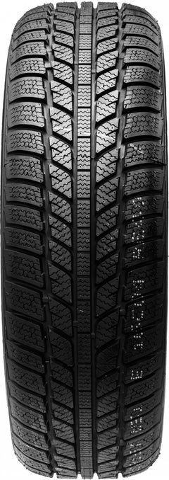 Evergreen EW62 195/55 R16 87H Winter