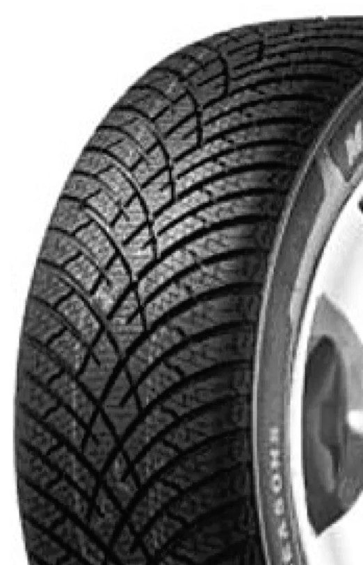 Doublestar DW02 Winterking 225/75 R15 102T Winter