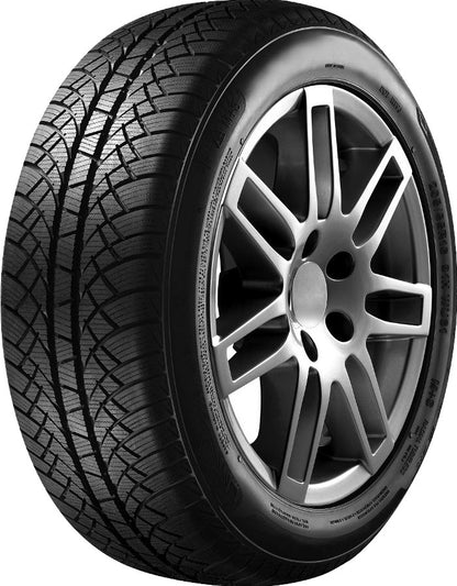 Sunny Wintermax NW611 205/65 R15 99T Winter