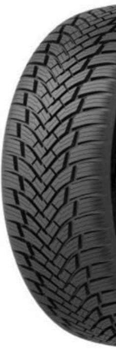 Petlas PT 565 All Season XL 3PMSF 215/55 R17 98W Ganzjahr