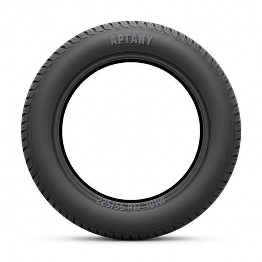 Aptany RC536 225/55 R17 101W Ganzjahr
