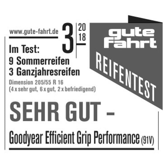 Goodyear Efficientgrip Performance AO DEMO 205/55 R16 91V Sommer – Bild 4