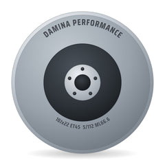 Damina Performance DM19 grey matt Alufelge 10x22 Zoll ET45 LK 5x112 ML66.6
